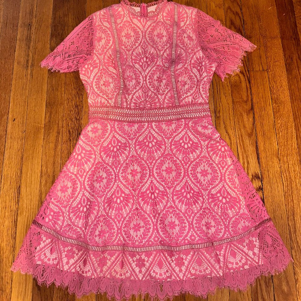 BB Dakota On List Short Sleeve Lace Fit & Flare Dress in Slate Rose Size 8